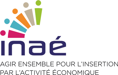 logo inae